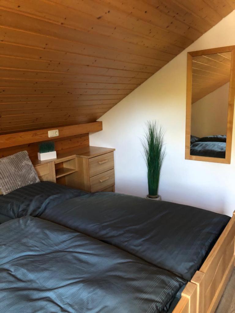 Ferienwohnung Buchenblick Montjoie Extérieur photo